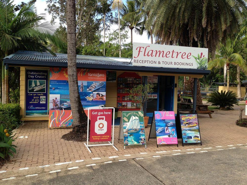 Big4 Whitsundays Tropical Eco Resort 埃尔利海滩 外观 照片